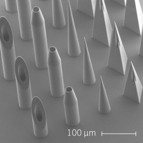 Variety of microneedles