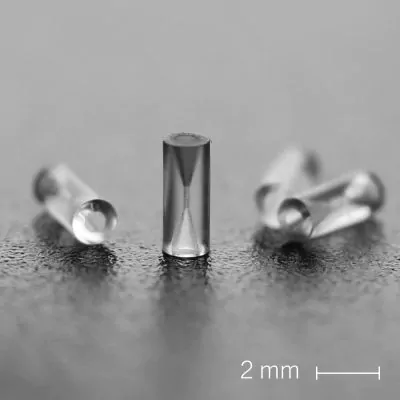 Fused silica ferrule